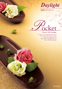 日光[デイライト]