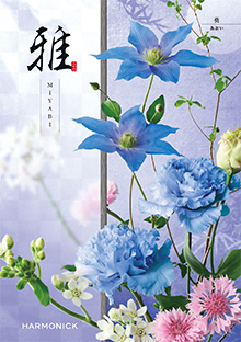 葵<あおい>