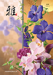 胡蝶<こちょう>