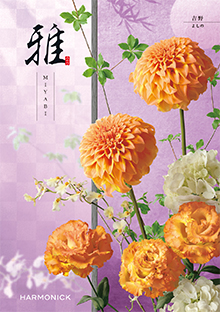 吉野<よしの>