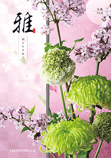天馬<てんま>
