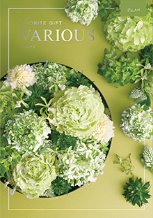 カタログギフトのハーモニック ヴァリアス ボストン