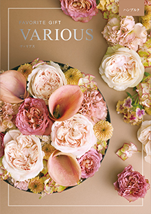 カタログギフトのハーモニック ヴァリアス ボストン