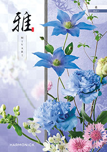 葵<あおい>