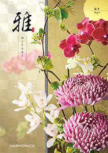 弥生<やよい>