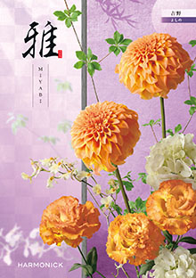 吉野<よしの>
