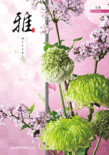 天馬<てんま>