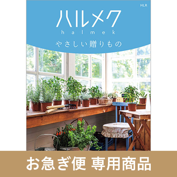 HLR（お急ぎ便商品）