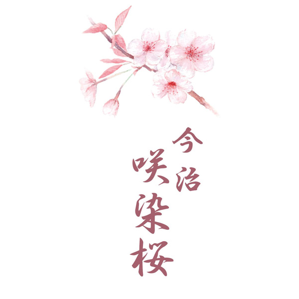 咲染桜 バスタオル | カタログギフトのハーモニック【公式】