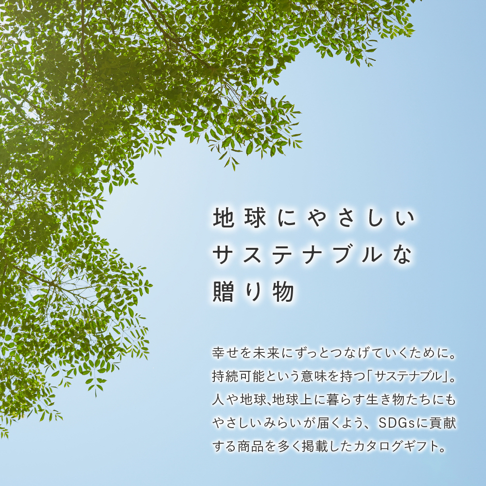 SDGsがコンセプトのカタログギフト｜やさしいみらい｜きらりコース（お
