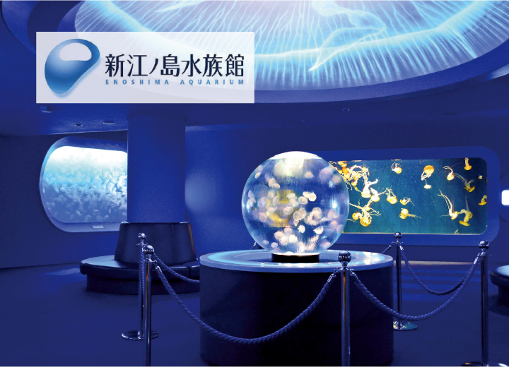 えらんで 掲載例2