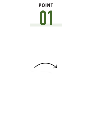 POINT 01
