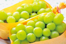 ア・ラ・グルメ 商品一例