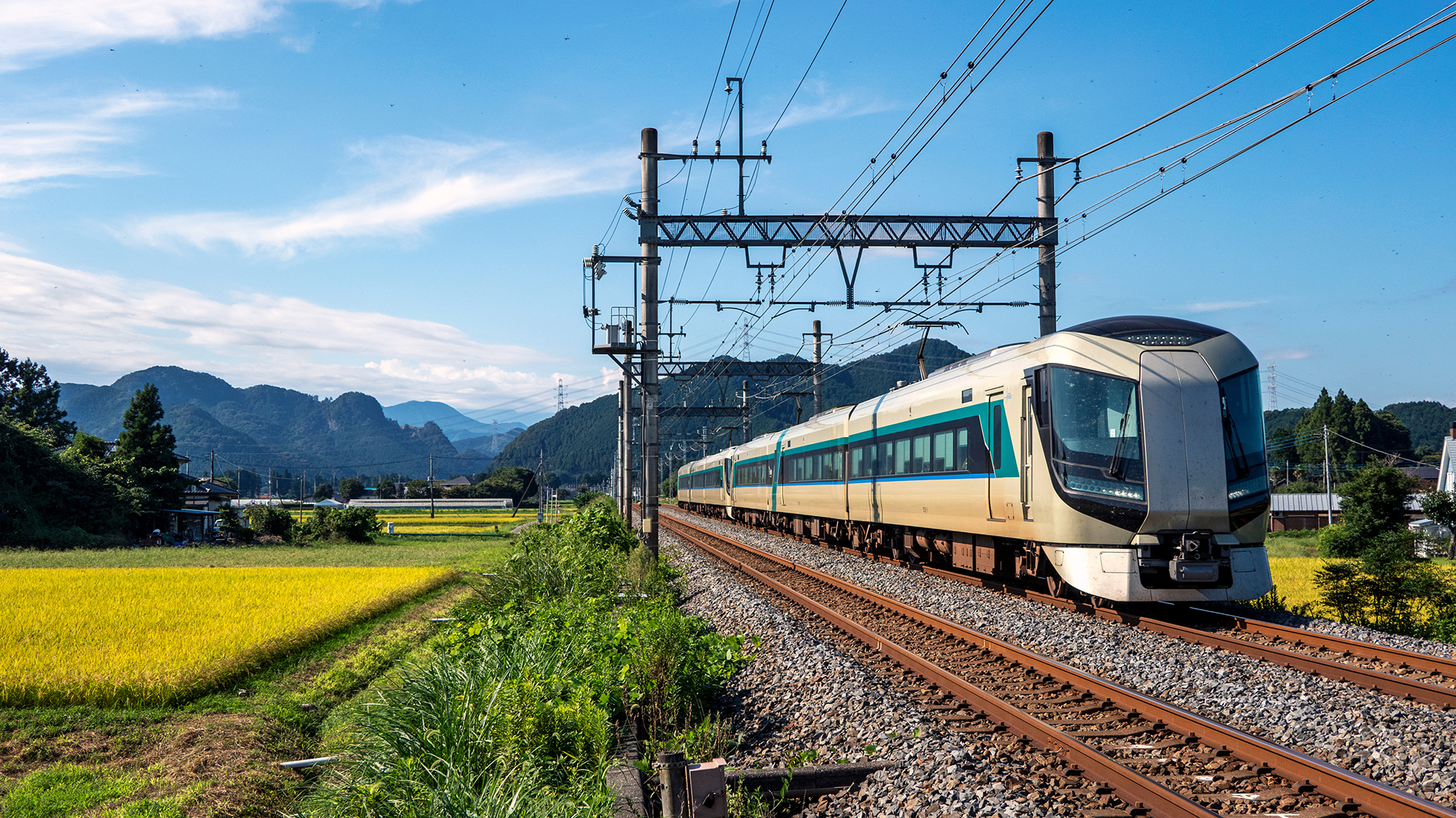 旅行 ギフト