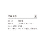 050392704