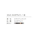 050399940