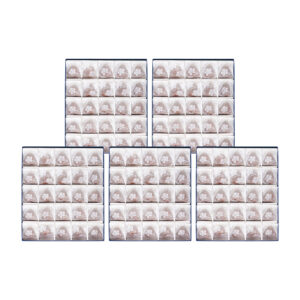 500386831