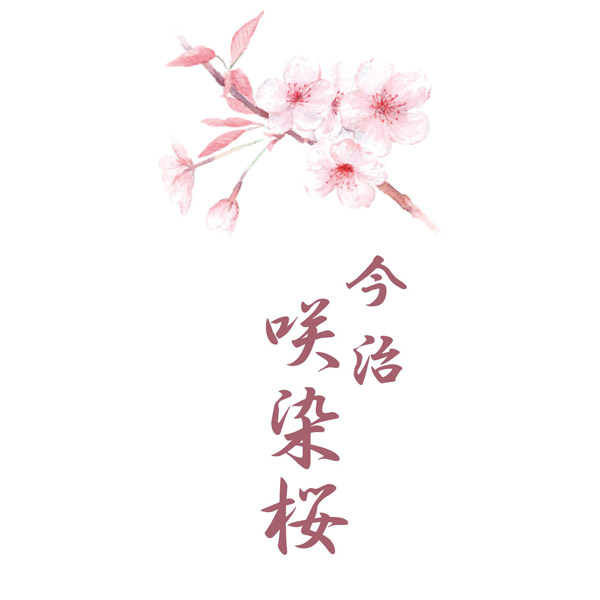 咲染桜  フェイス・ウォッシュタオルセット
